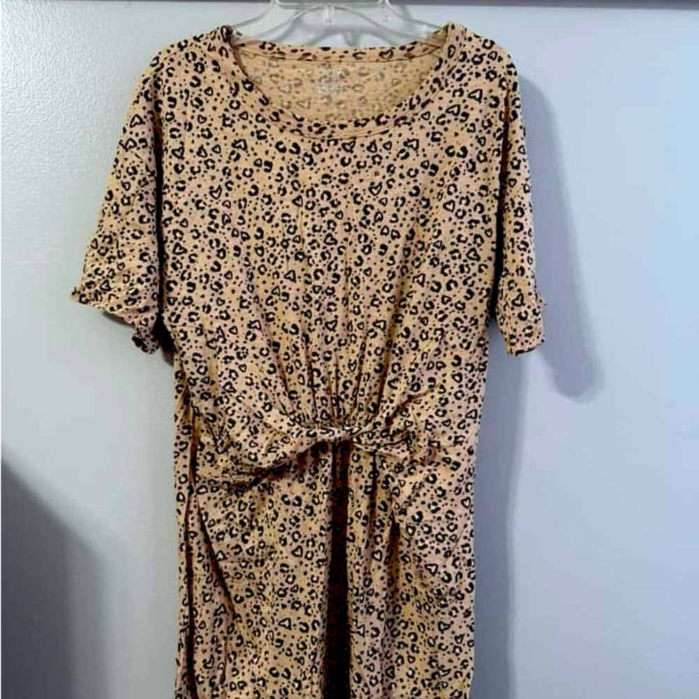 Aerie Medium Dress